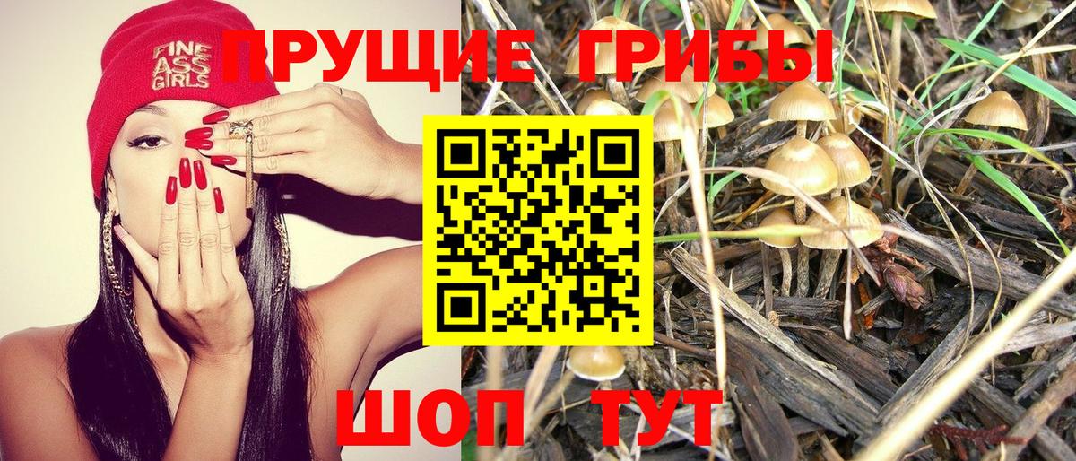 Борзя  Псилоцибиновые грибы ЛСД  Вход с VPN 