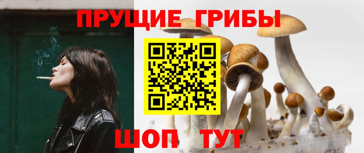 Псилоцибиновые грибы прущие грибы Борзя